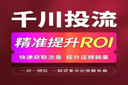 某行业巨头背后的SEM代运营服务公司